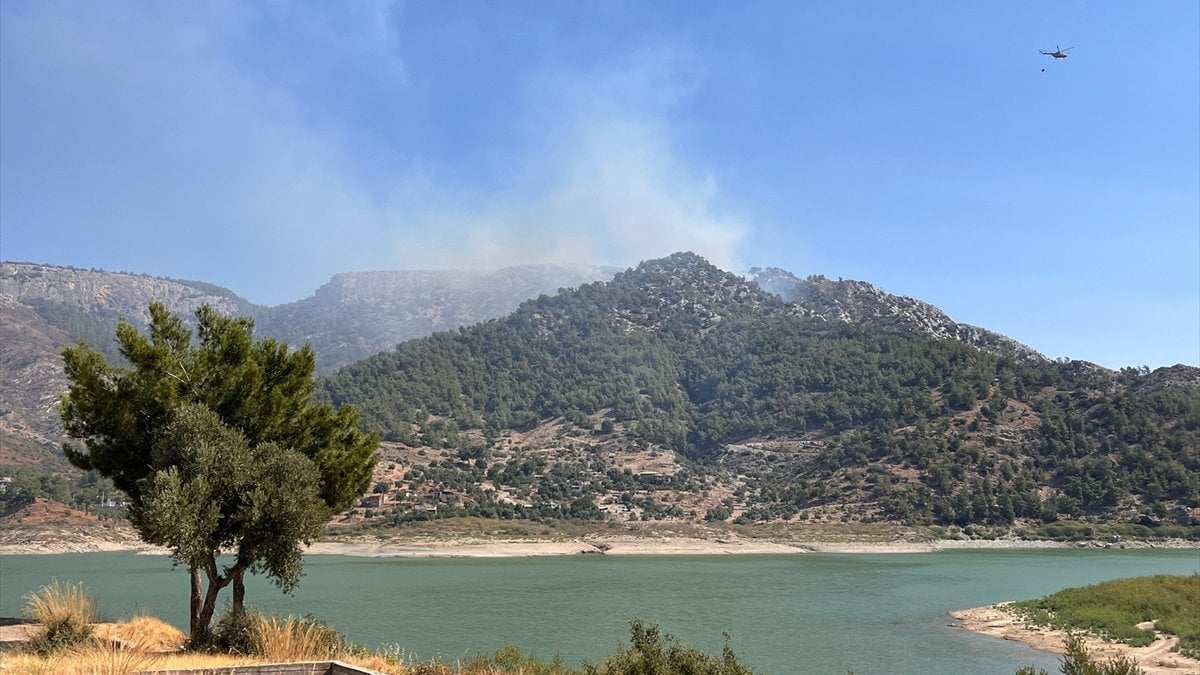 Muğla'da orman yangını çıktı