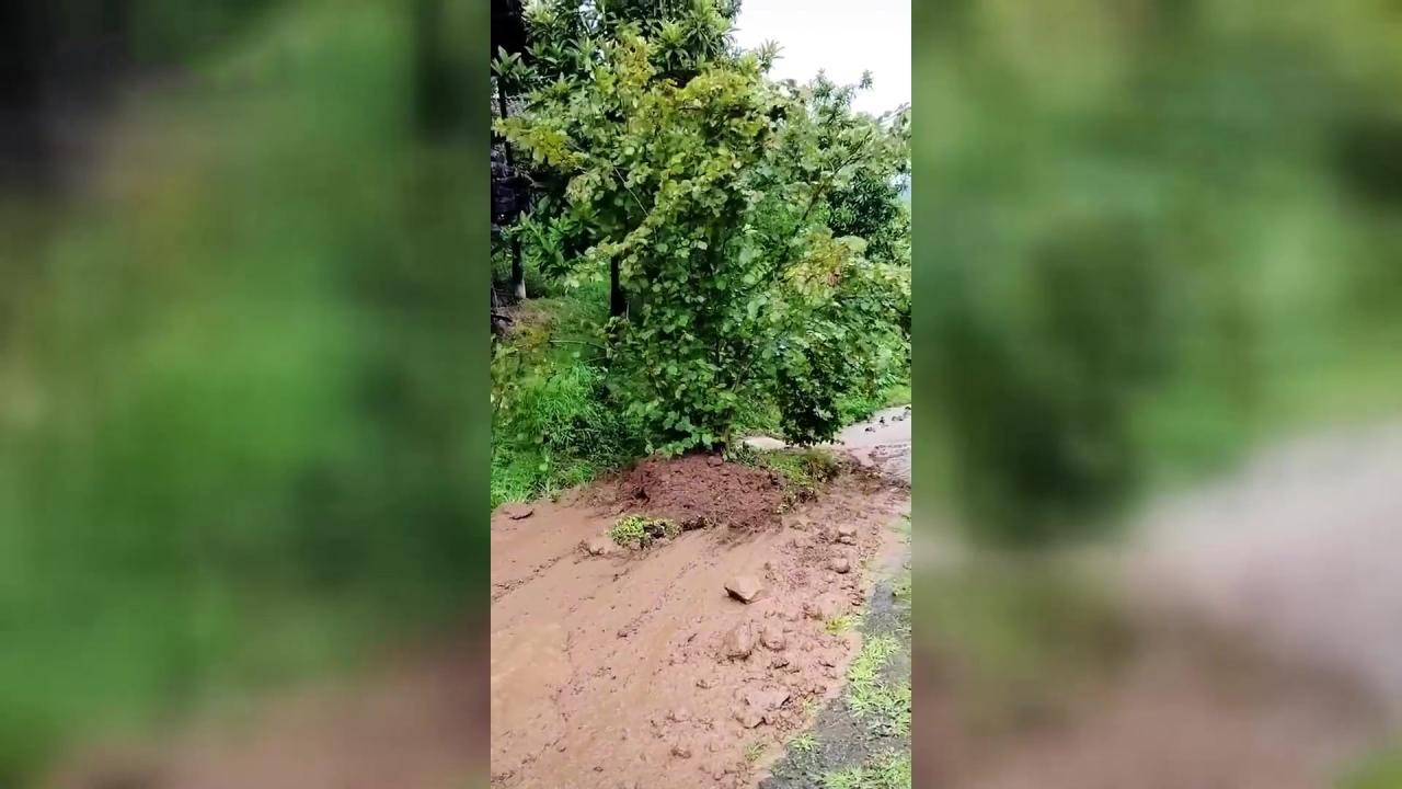 Toprak kayması fındık ağacını böyle sürükledi