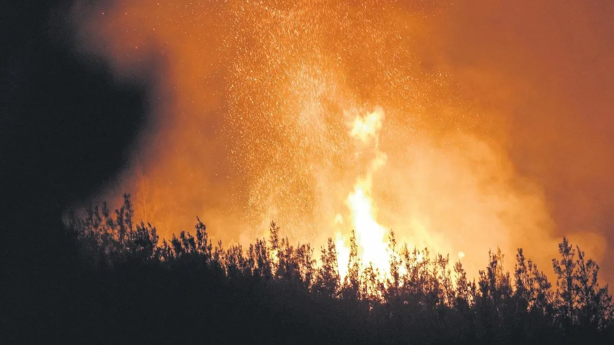 Alevlerle 24 saat mücadele - Son Dakika Haberler