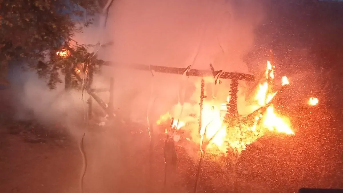 Ayvalık'ta çıkan yangın korkuttu - Balıkesir Haberleri