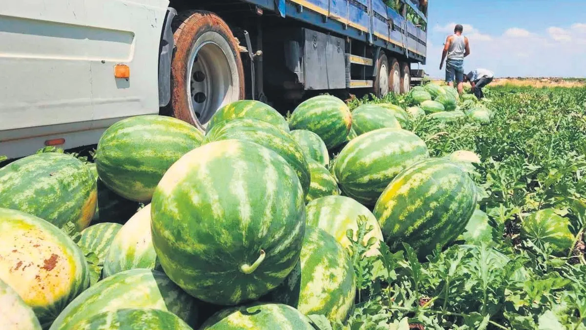 Fiyat bir haftaya düşecek - Ekonomi Haberleri