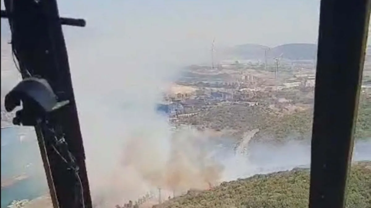 İzmir'de orman yangını çıktı! #izmir