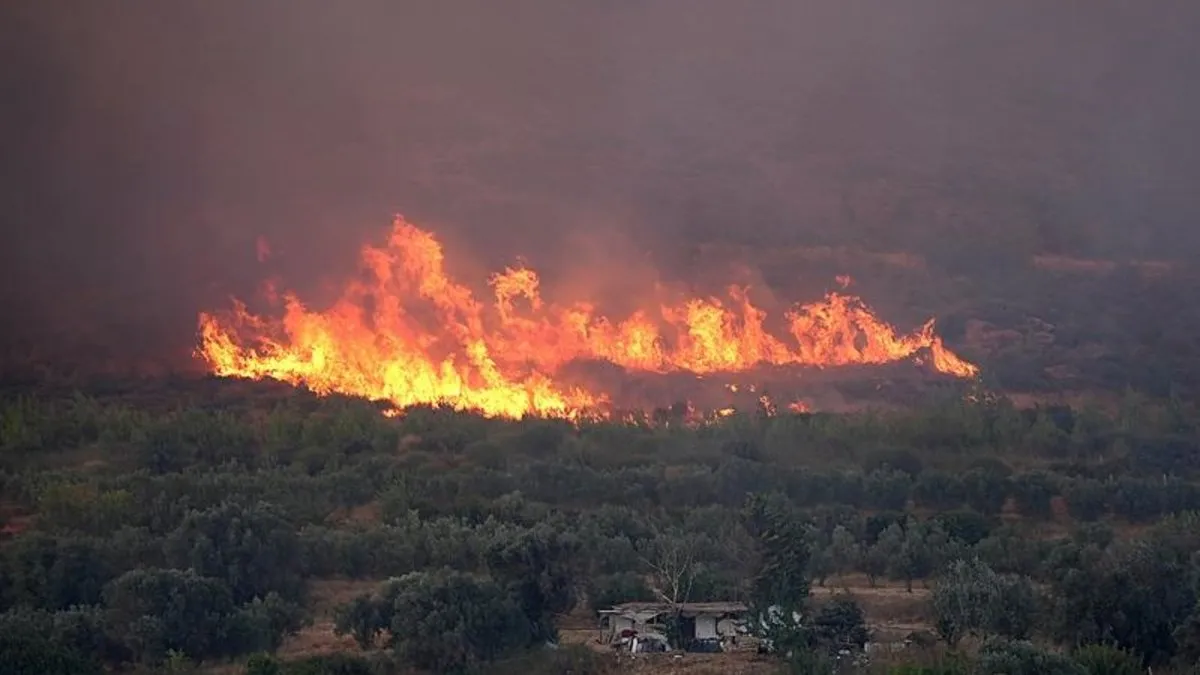 İzmir'deki orman yangınına ilişkin 1 kişi tutuklandı