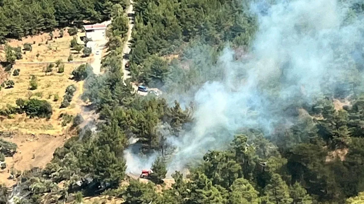 İzmir'deki yangın kontrol altına alındı
