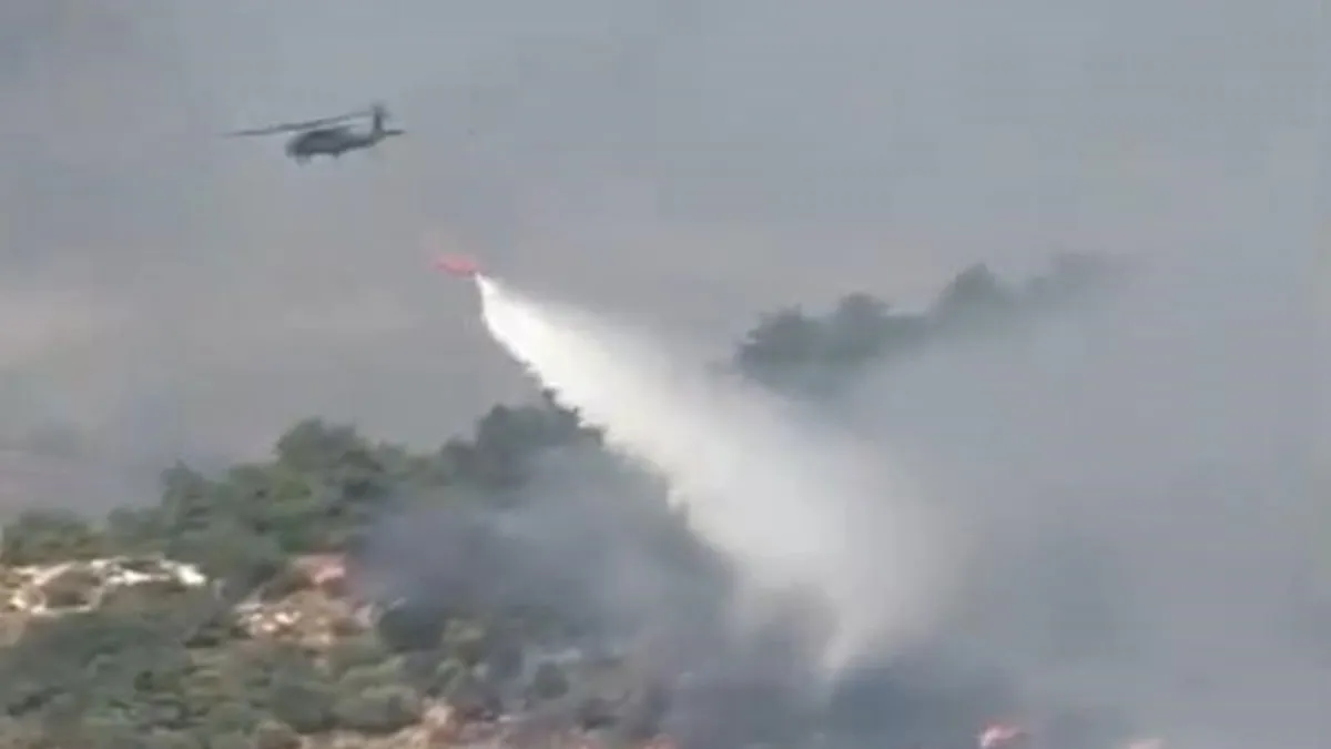 İzmir'in Menderes ilçesinde çıkan orman yangını kontrol altına alındı