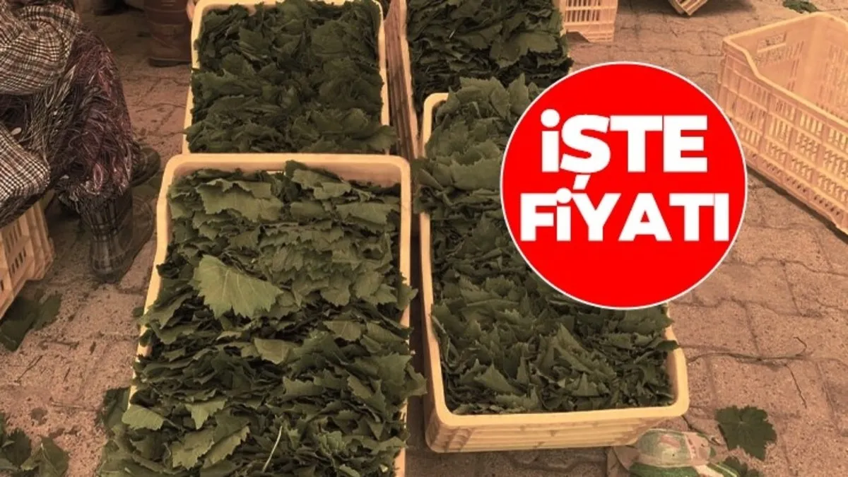 Kilosu yarı fiyatına geriledi! - Galeri