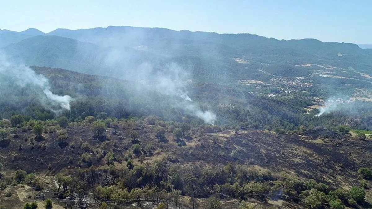 MSB'den İzmir, Aydın ve Bolu'daki yangınalra 15 helikopterle destek