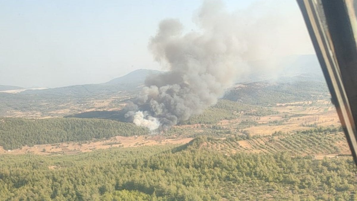 Muğla'da yeni orman yangını