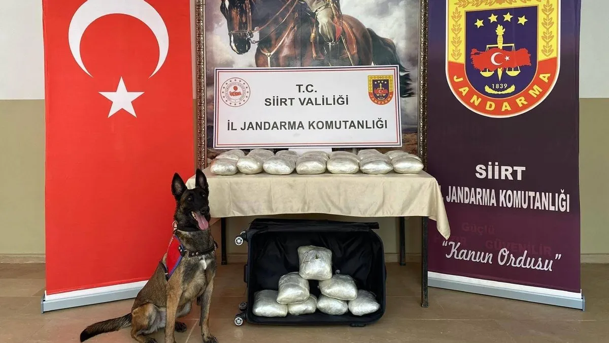 Siirt'te 40 kilo kubar esrar ele geçirildi
