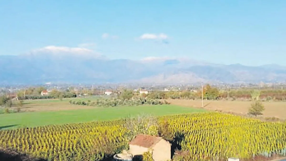 Bakanlık talana ‘DUR’ dedi - Son Dakika Haberler