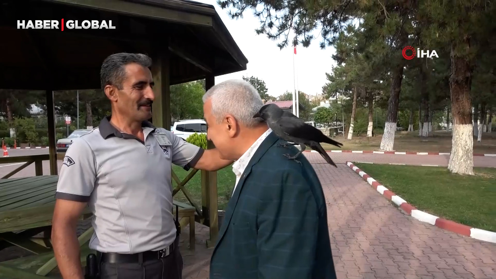 Bu karga her gün mesai yapıyor, personelden asla ayrılmıyor: "Nankörlüğünü hiç görmedim"