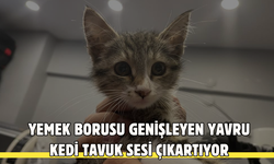 Bu kez erkekler eylem yaptı ! 'Erkeklerin de kalbi var', 'Çığlıklarını duyun'