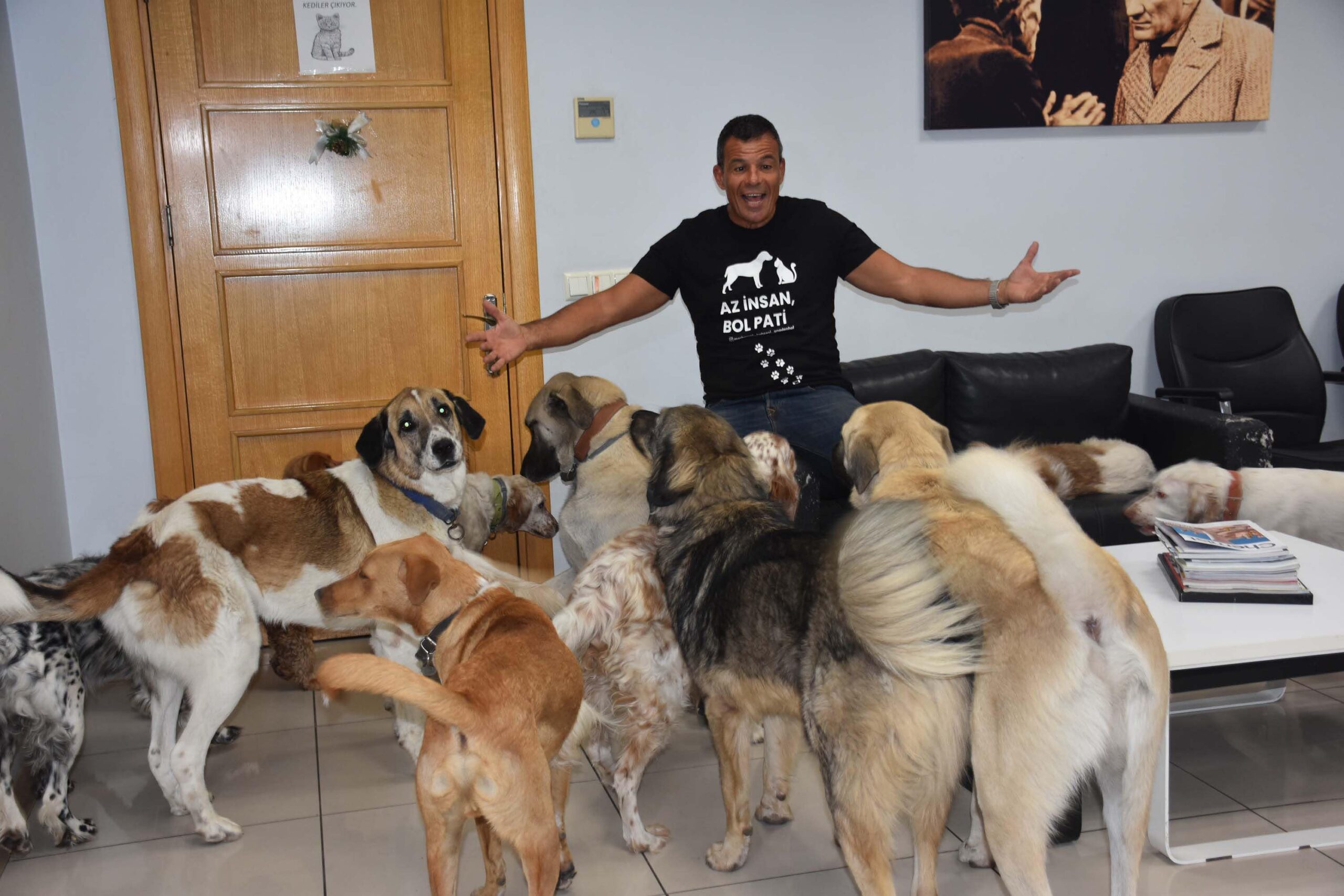 Fabrikasını can dostlarına açtı: 36 köpek, 7 kedi var