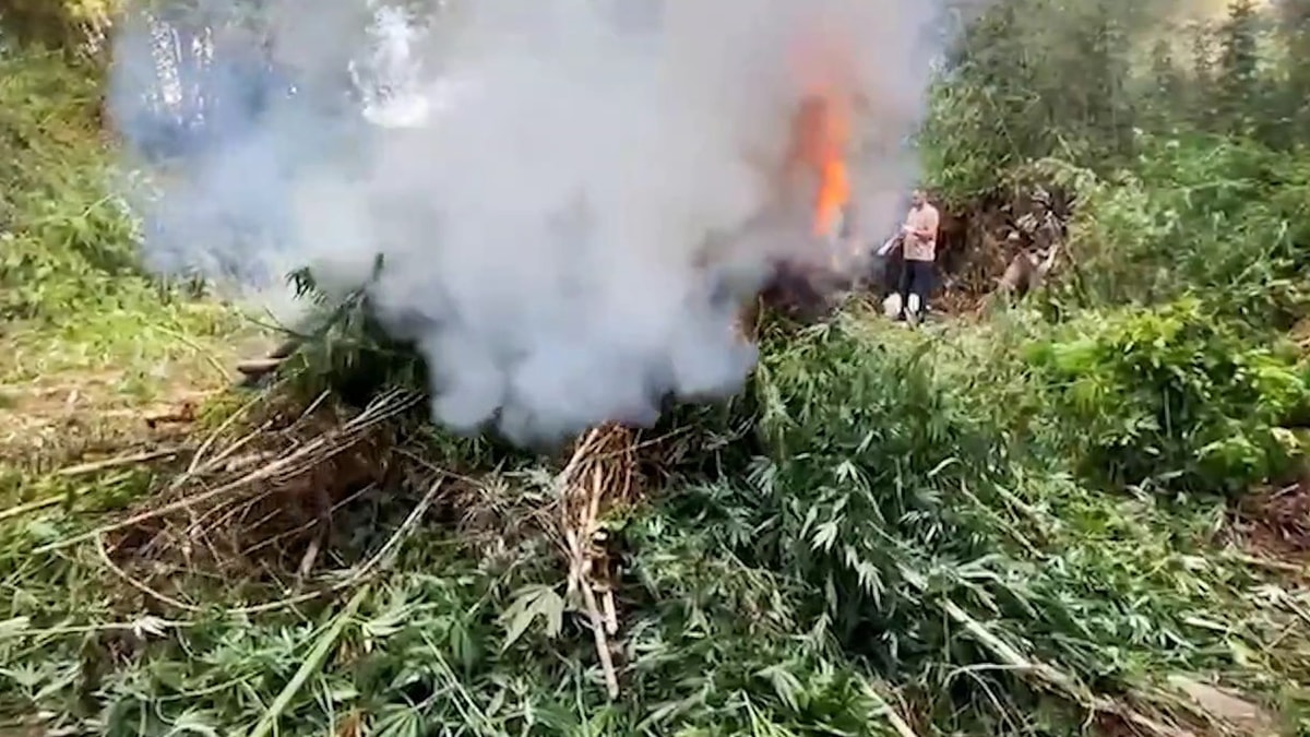 Hevsel Bahçeleri'nde uyuşturucu operasyonu