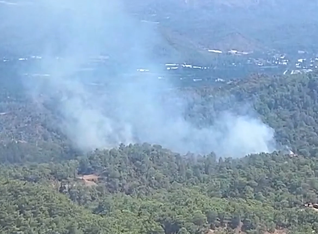 Muğla'nın Ortaca ilçesinde orman yangını çıktı