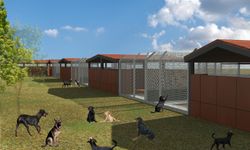 Sonbaharda Bağışıklığınızı Güçlendiren 10 Beslenme Önerisi