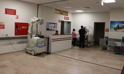 Trafik Güvenliği alarm veriyor! Bakın hangi sürücüler kazalarda ilk sırada!