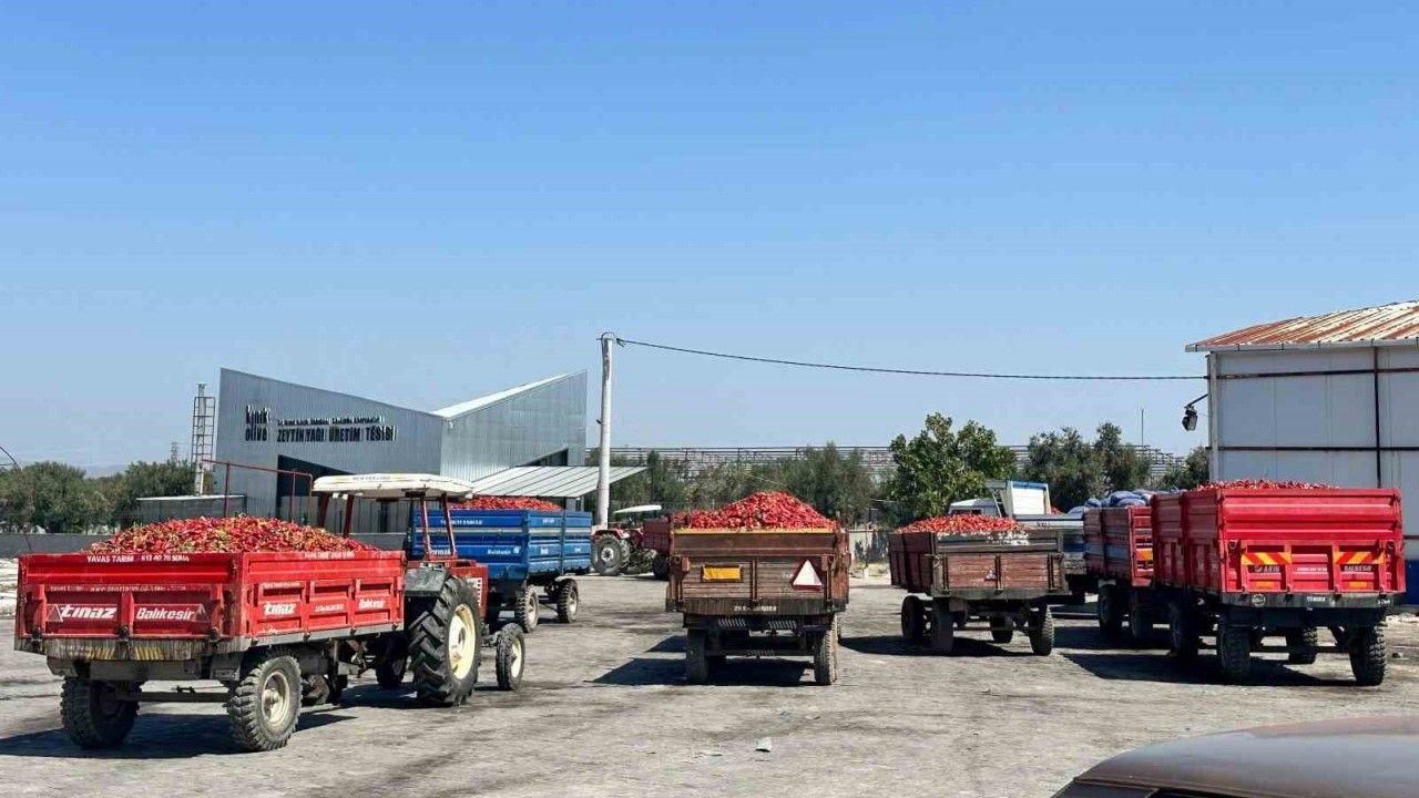 tuccar-alimi-durdurdu-tonlarca-biber-elde-kaldi