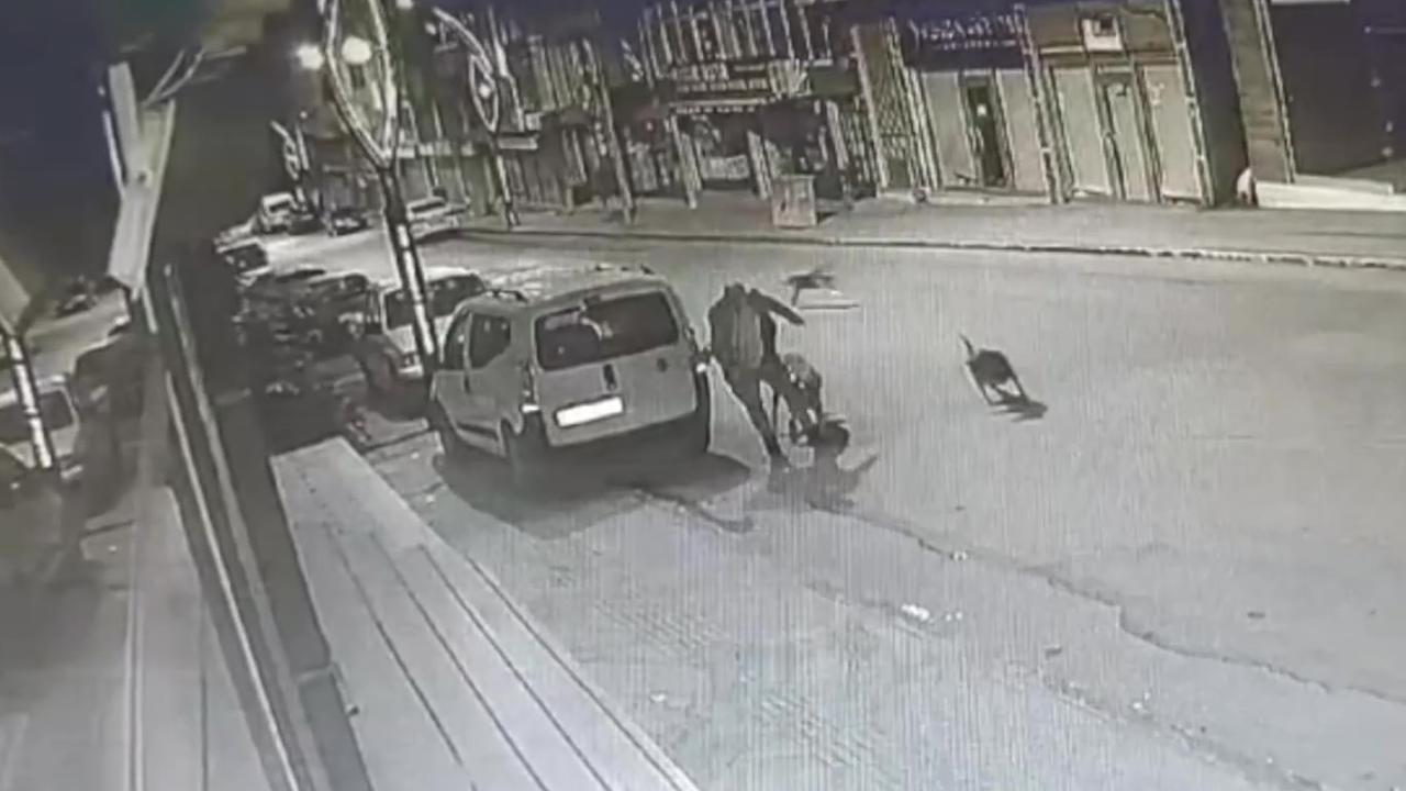 Yolda yürürken başıboş köpekler saldırdı