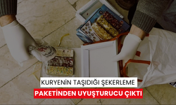 5 farklı suç örgütüne yönelik operasyon