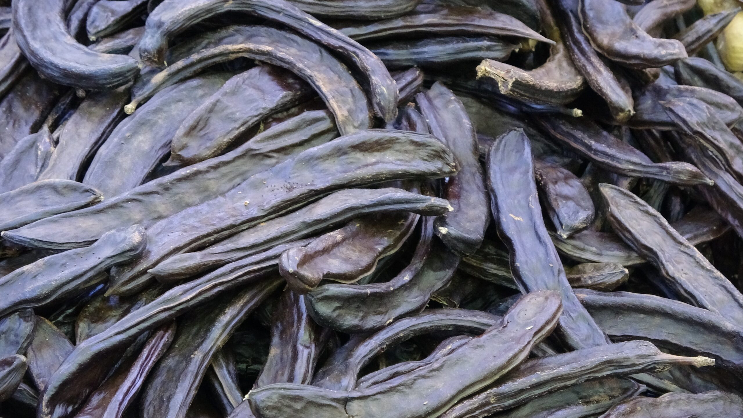 Kakao ve şeker yerine bu meyve kullanılabiliyor!