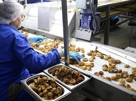 Güneydoğu Anadolu'nun kuru meyve ihracatı arttı