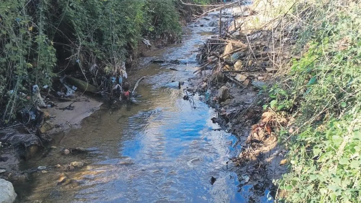 İşte Körfez’i böyle mahvettiler - Yaşam Haberleri
