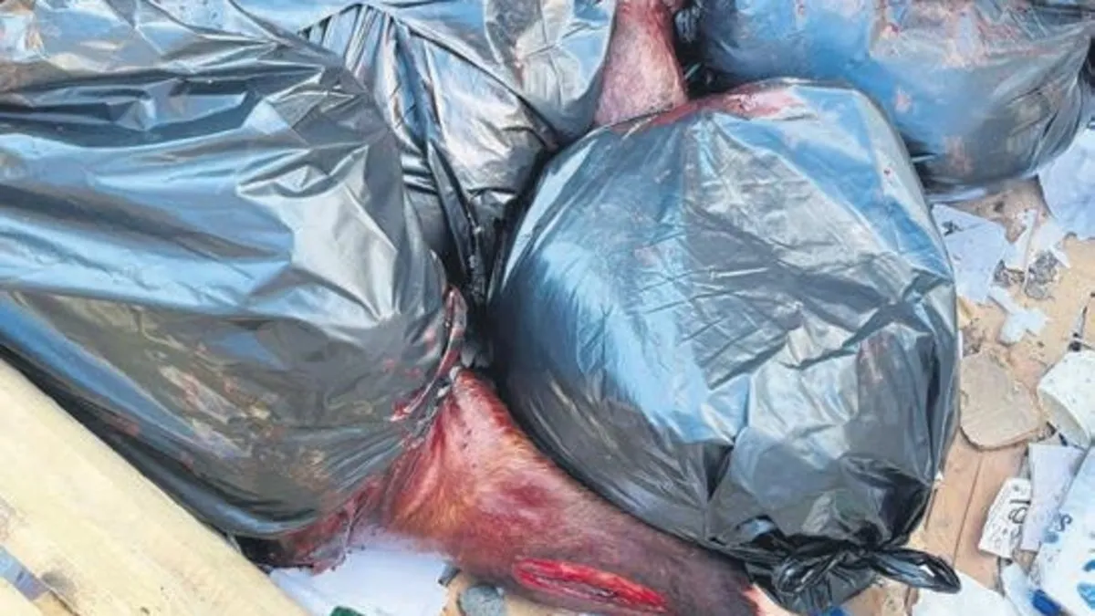 At keserken suçüstü yakalandılar - Yaşam Haberleri