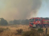 2 ilde korkutan yangın! Müdahale başladı