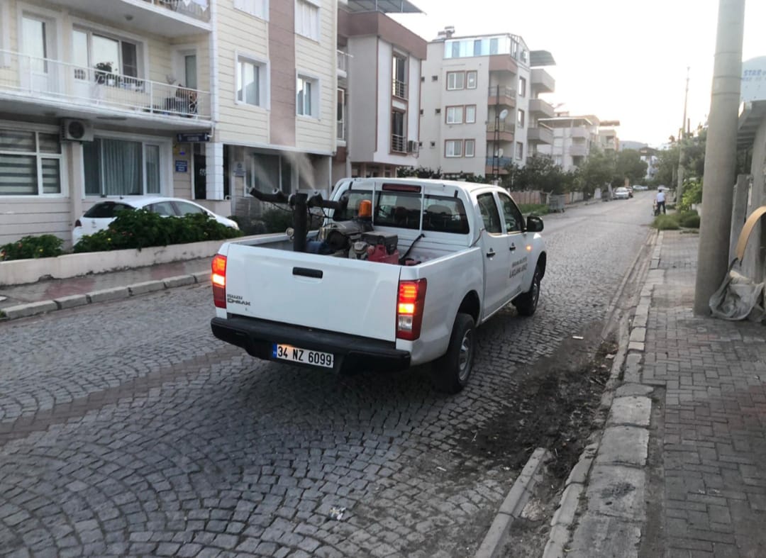 WhatsApp Image 2025-06-07 at 23.54.56