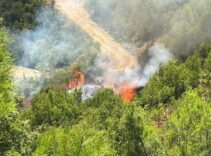 Antalya'nın 3 ilçesinde 5 noktada yangın! İşte son durum...