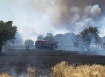 Çanakkale'deki orman yangınlarıyla ilgili 26 kişi hakkında adli işlem başlatıldı
