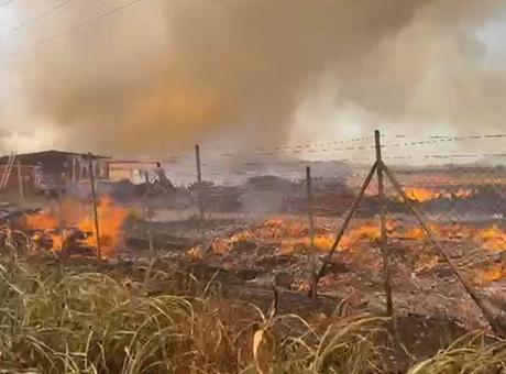 İzmir Aliağa'da orman yangını: Havadan ve karadan müdahale sürüyor