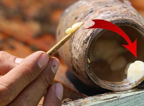 'Kanserin şifası' diye biliniyor! Kilosu 45 bin lira