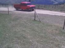 Kayıp olarak aranan 2 kişi kamyonette ölü bulundu