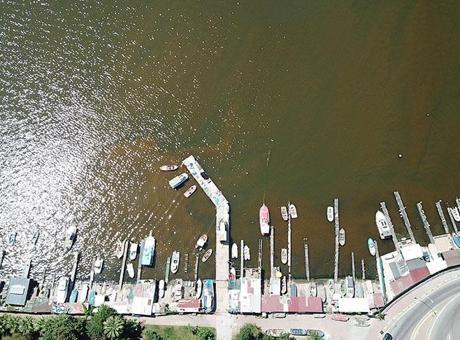 Marmara için yeni uyarı! Deniz rengi değişti, tehlike çanları çalıyor