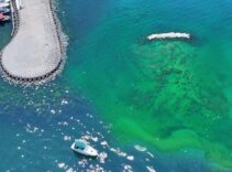 Marmara’da Denizi’ndeki tehlike! Yeniden görüldü: 18 metre dipte saklanıyor