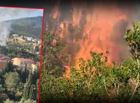 SON DAKİKA YANGIN HABERİ: Aydos Ormanı'nda yangın kısa sürede kontrol altına alındı