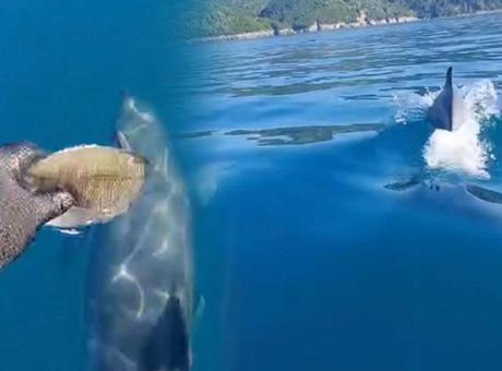 Yer: Bartın! Teknesinin önündeki manzara karşısında şoke oldu