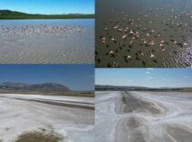 40 günde şoke eden manzara! Tamamen kurudu