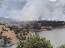 Adıyaman'da orman yangını! Çok sayıda ekip sevk edildi