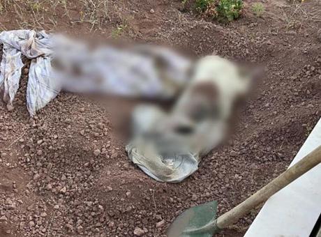 Eskişehir'de mezarlıkta korkunç olay! Bezi açan ekiplerin kanı dondu