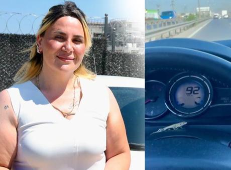 Gösterge panelinde beklenmedik misafir: Ne yapacağımı bilemedim çığlık atmaya başladım