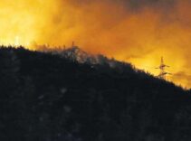 Hatay'da mücadele sürüyor