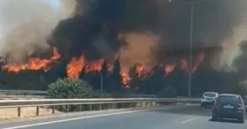 İzmir Buca’da orman yangını