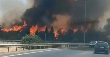 İzmir Buca’da orman yangını