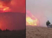 Konya'daki orman yangını 2 gündür sürüyor! Alevler bir ile daha sıçramak üzere