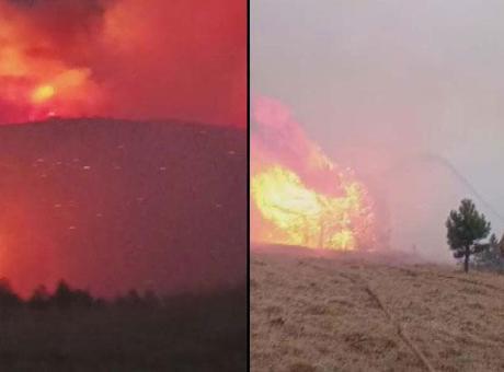 Konya'daki orman yangını 2 gündür sürüyor! Alevler bir ile daha sıçramak üzere