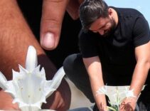 Servet değerinde! Tek bir dalın bedeli 380 bin TL