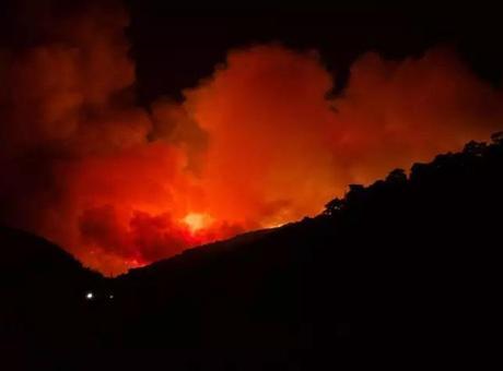 Son dakika İzmir Yangını: Ödemiş yangınında orman işçisi İbrahim Demir şehit oldu